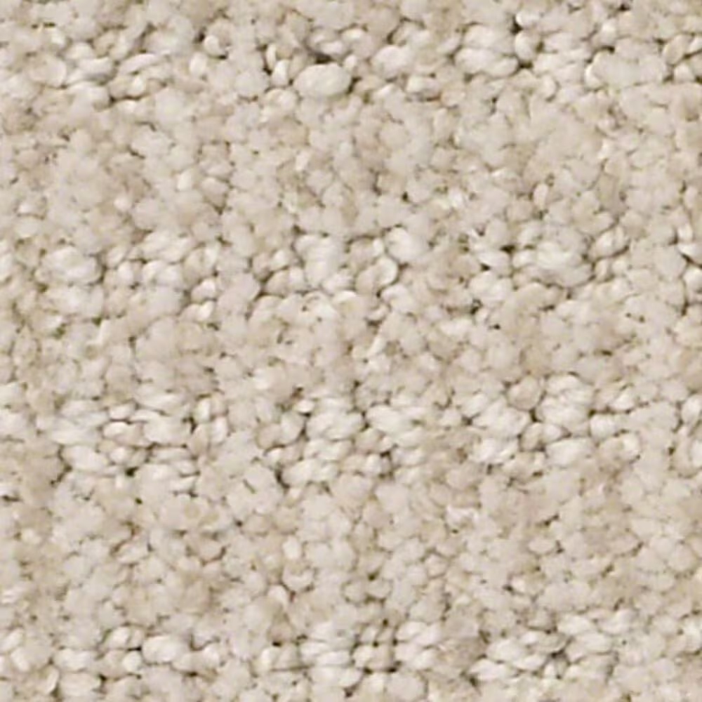 Shaw Insightful Way Carpet in Passageway