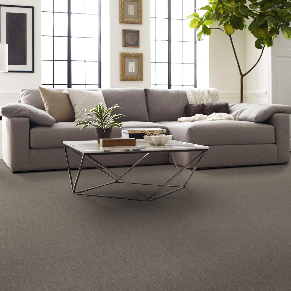 170334-shaw-parallel-carpet-in-mineral-1.jpg