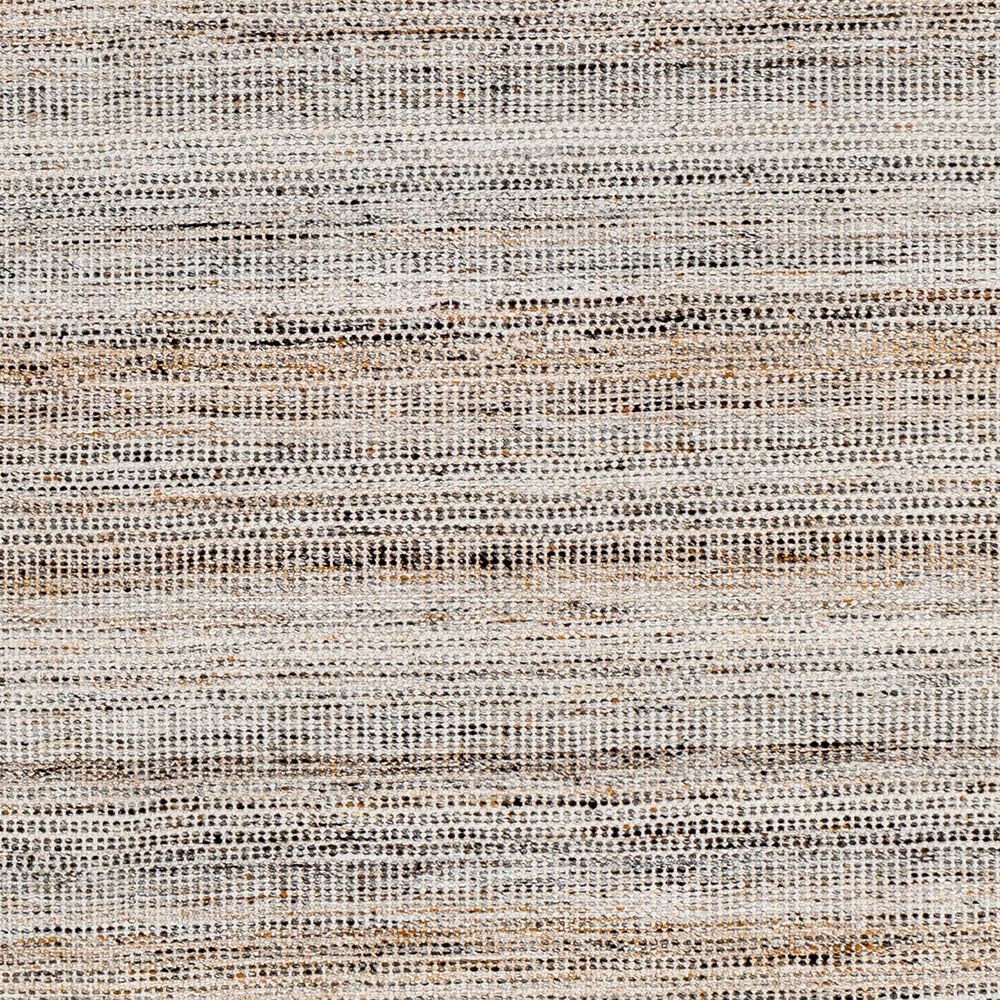 170579-surya-lily-2-x-3-light-beige-caramel-charcoal-and-off-white-indoor-outdoor-area-rug-1.jpg