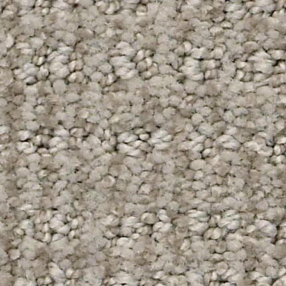 Shaw Insightful Way Carpet in Silhouette