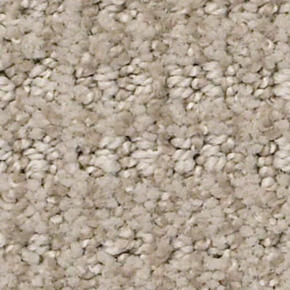 Shaw Insightful Way Carpet in Park Avenue
