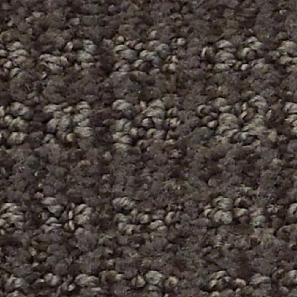 Shaw Insightful Way Carpet in Antique Chest