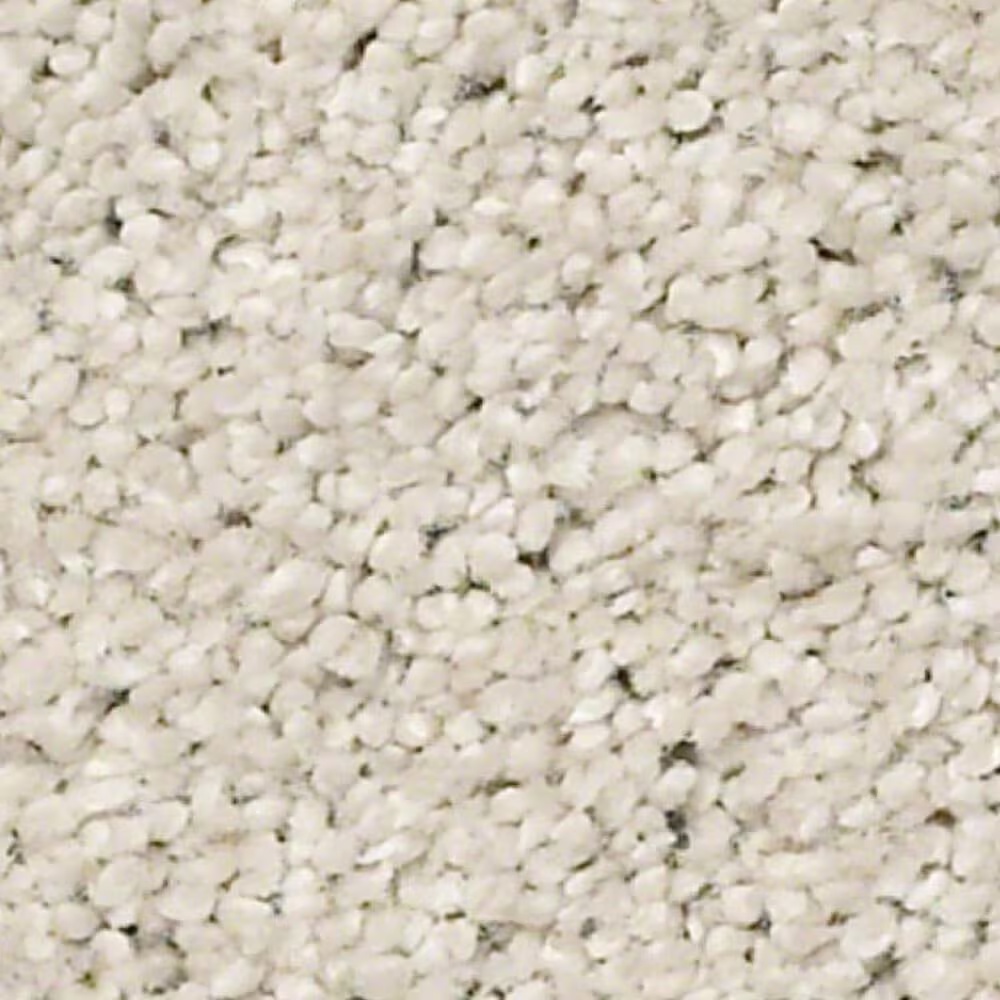 Shaw Always Ready II Carpet in Etched Glass