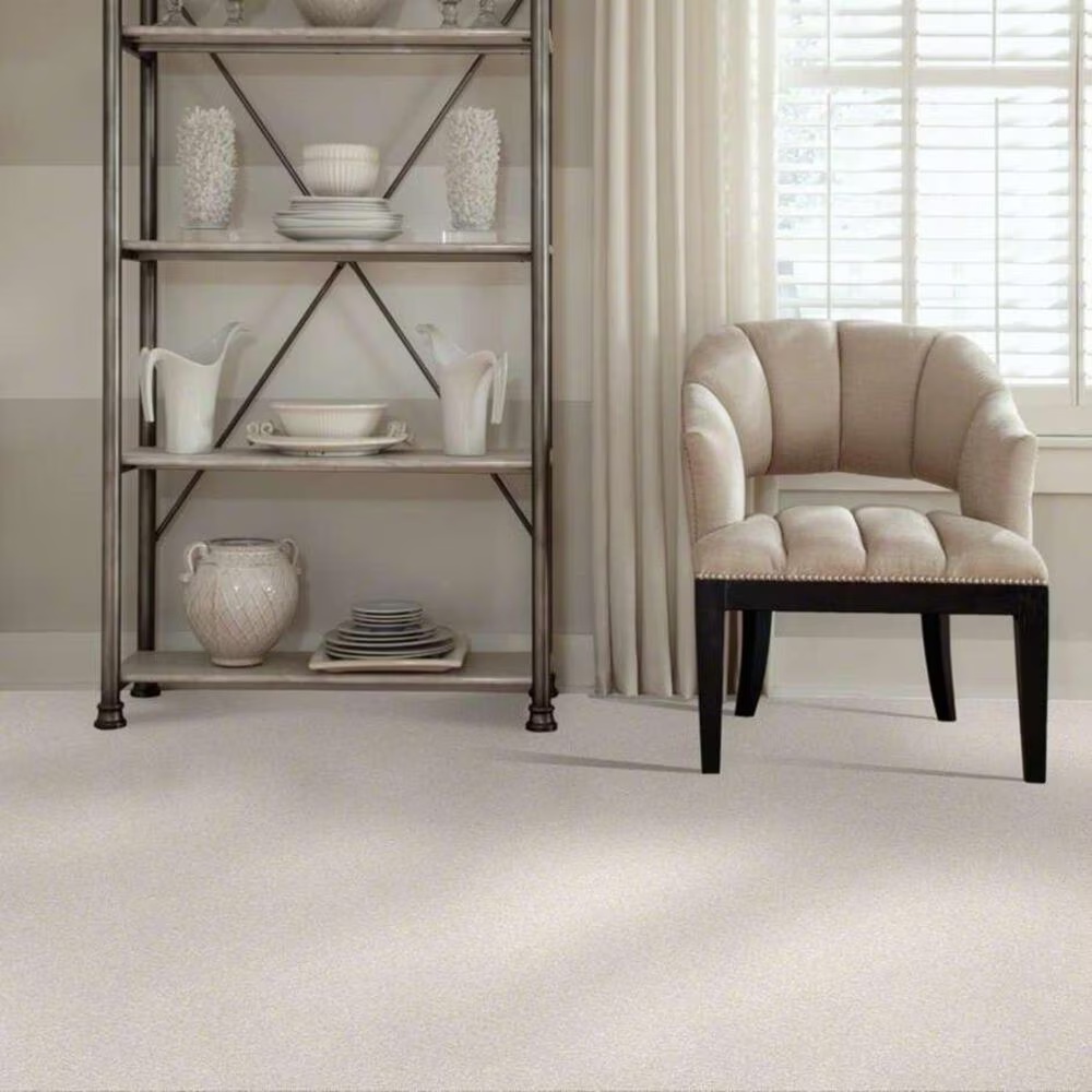 17384-shaw-always-ready-ii-carpet-in-sentimental-1.jpg