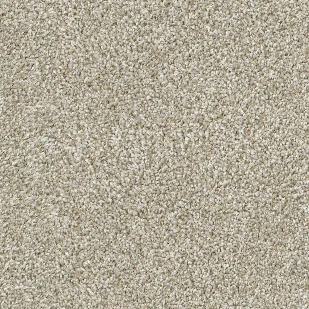 Dixie Home Outlast Carpet in Sandstone