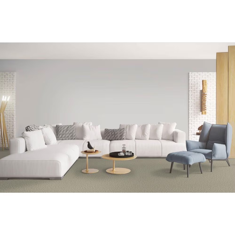 173991-dixie-home-outlast-carpet-in-sandstone-1.jpg