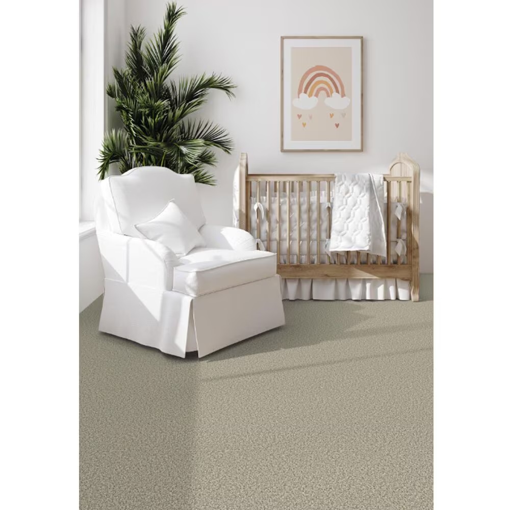 173991-dixie-home-outlast-carpet-in-sandstone-1.jpg