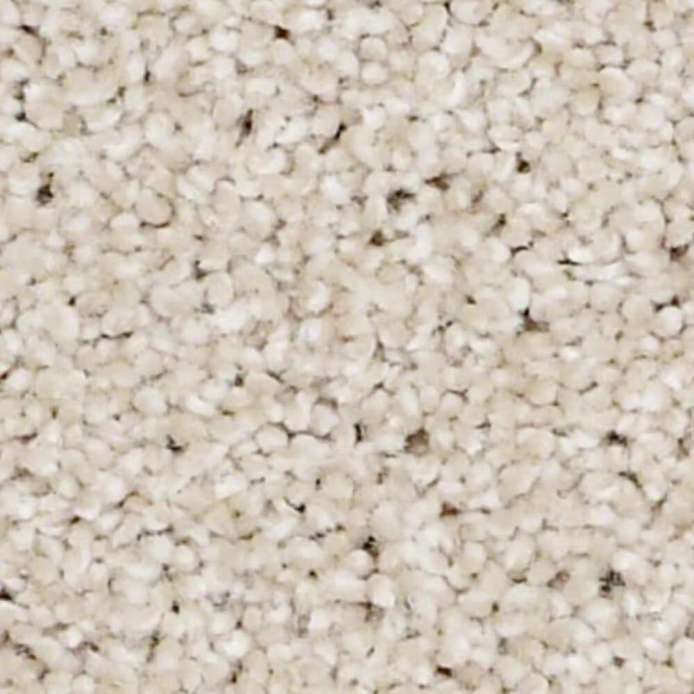 Shaw Always Ready II Carpet in Boutique