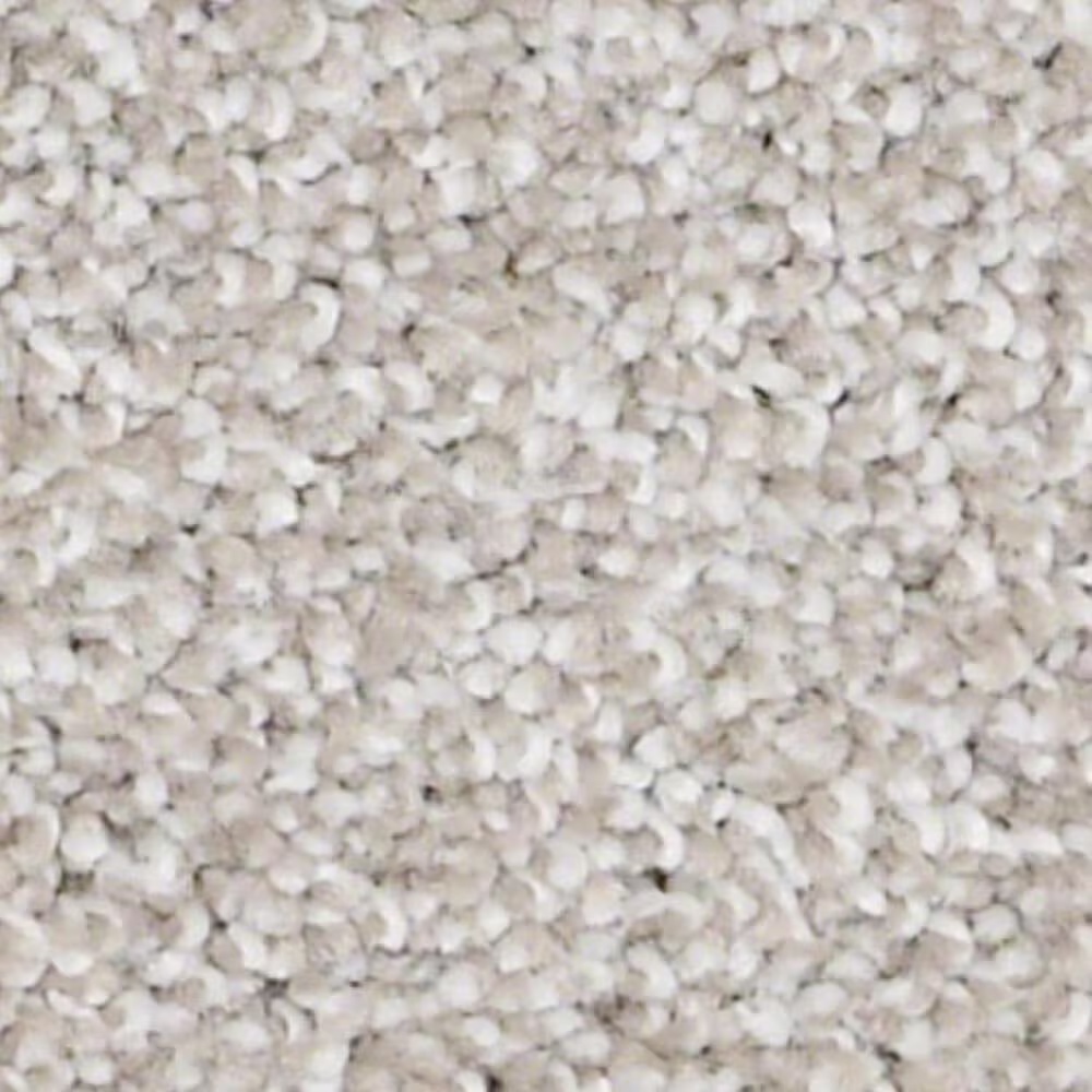 Shaw Always Ready II Carpet in Studio Taupe