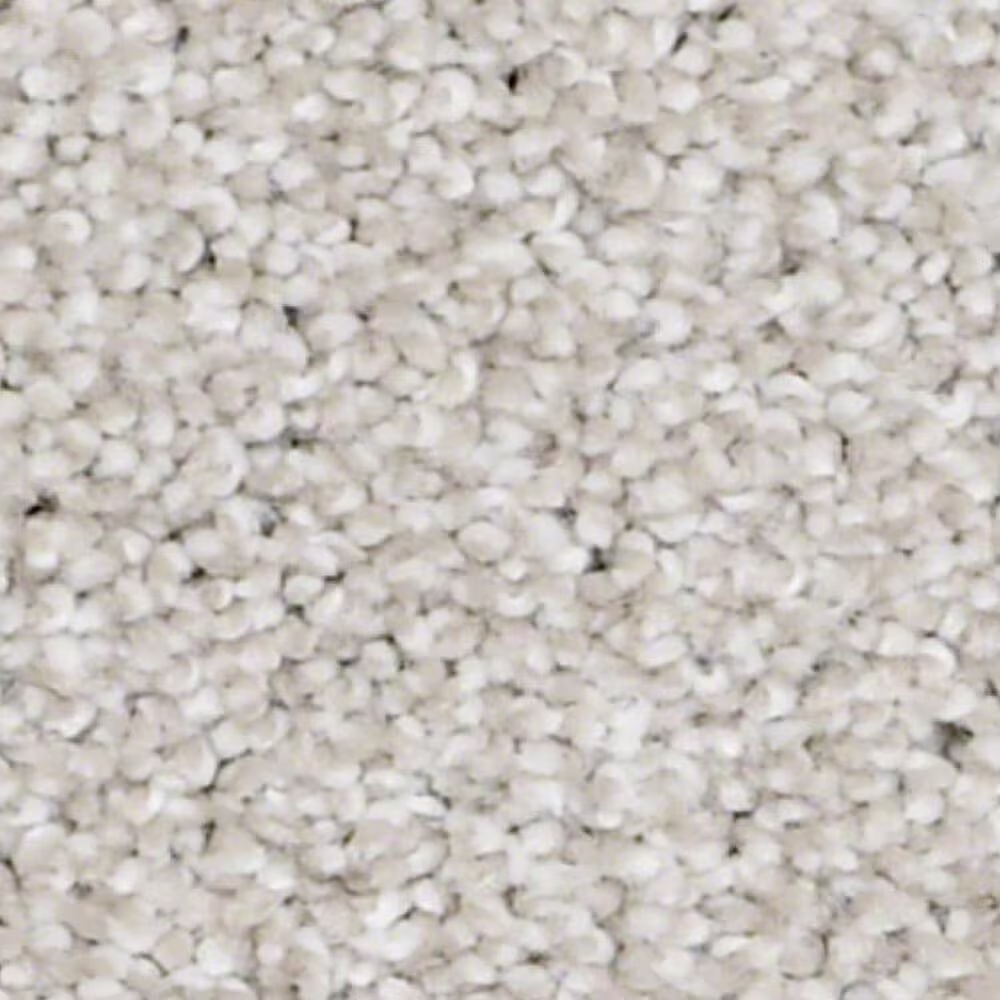 Shaw Always Ready II Carpet in Realist