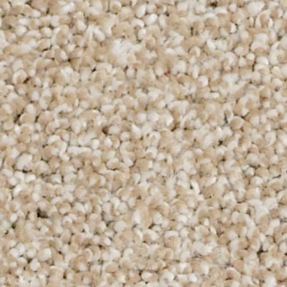 Shaw Always Ready II Carpet in Gold Rush