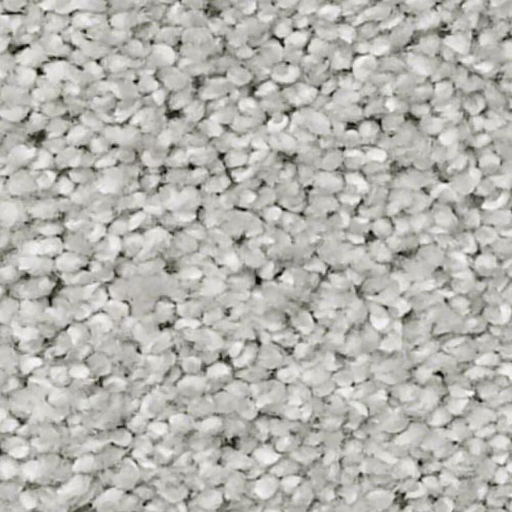 Shaw Always Ready II Carpet in Vapor