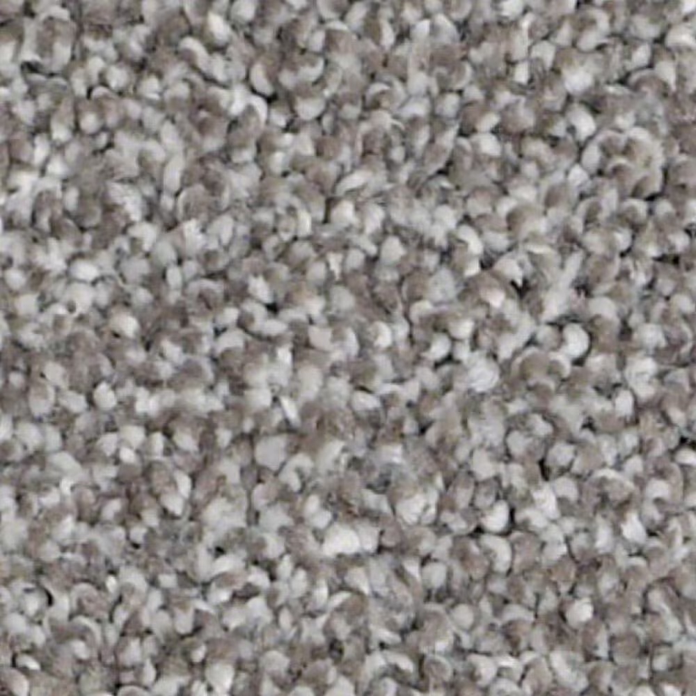 Shaw Always Ready II Carpet in Washed Gray