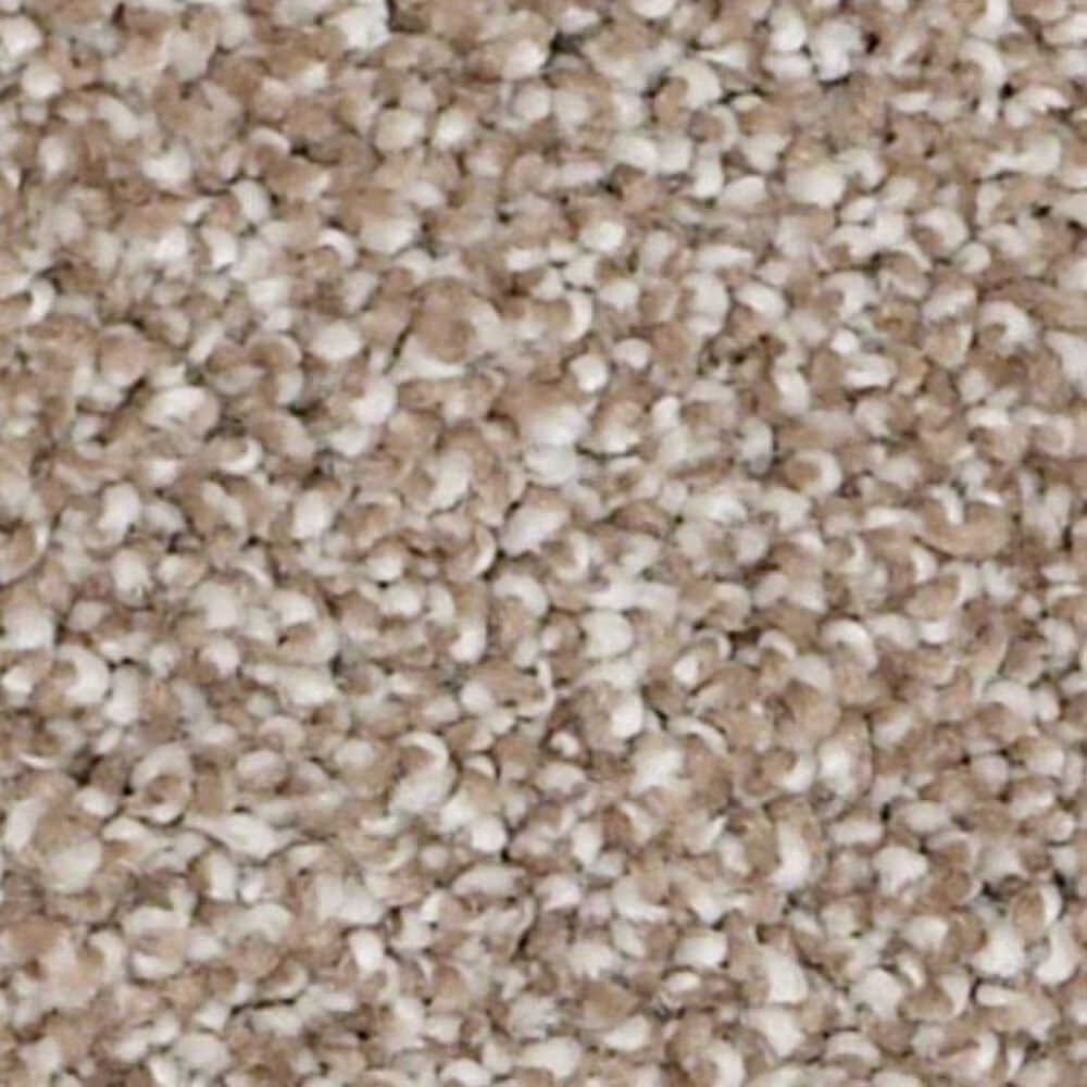 Shaw Always Ready II Carpet in Summerville
