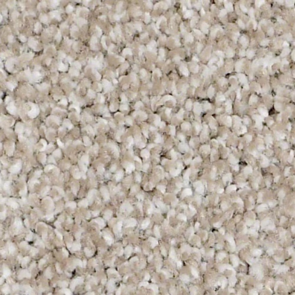Shaw Always Ready II Carpet in Biscotti