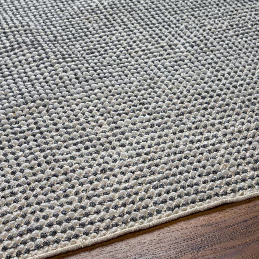 176346-surya-reika-rek-2302-5-x-7-6-off-white-charcoal-beige-light-grey-area-rug-1.webp