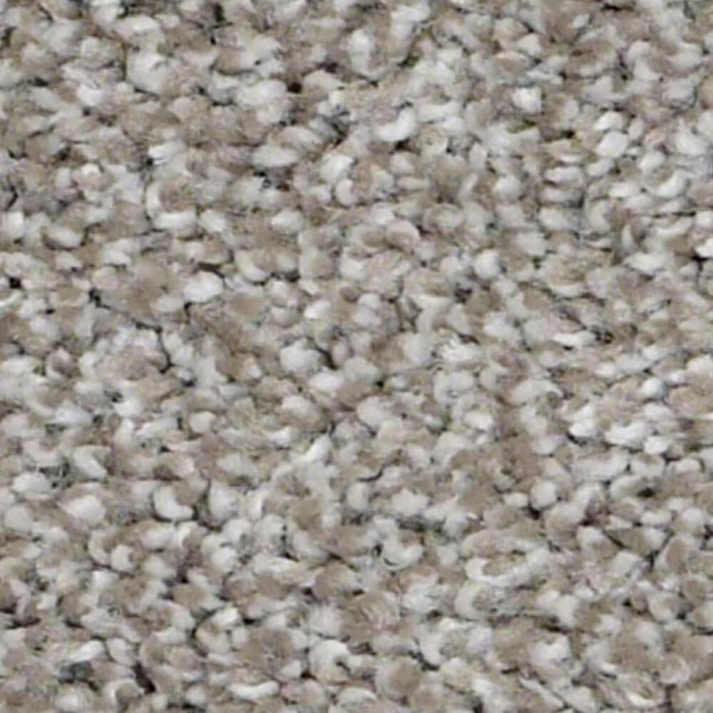 Shaw Always Ready II Carpet in Arrowhead