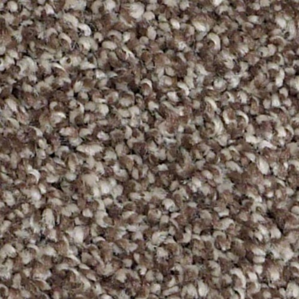 Shaw Always Ready II Carpet in Flint Stone
