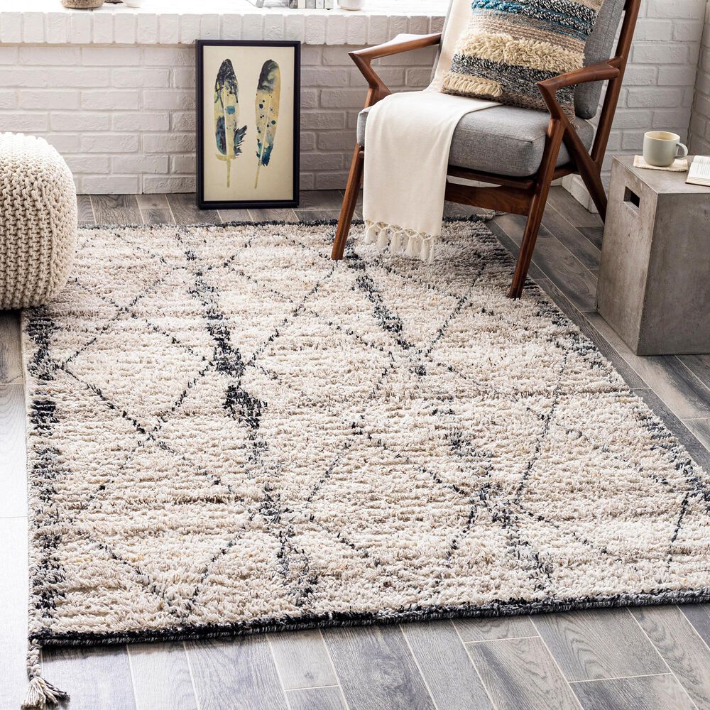 176798-surya-birch-5-x-7-6-beige-cream-gray-charcoal-and-black-area-rug-1.webp