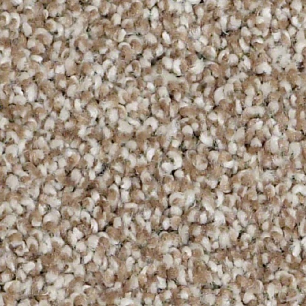 Shaw Always Ready II Carpet in Warmth