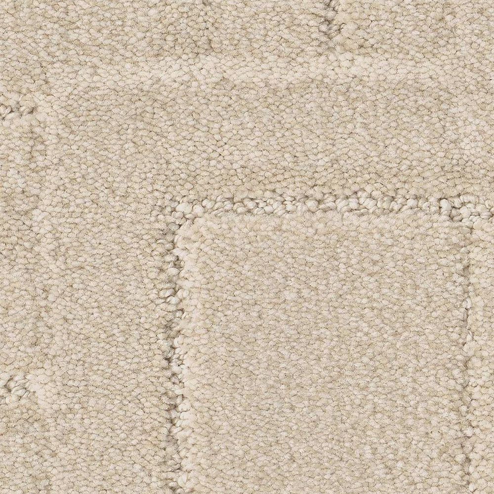Anderson Tuftex Path Carpet in Dry Creek