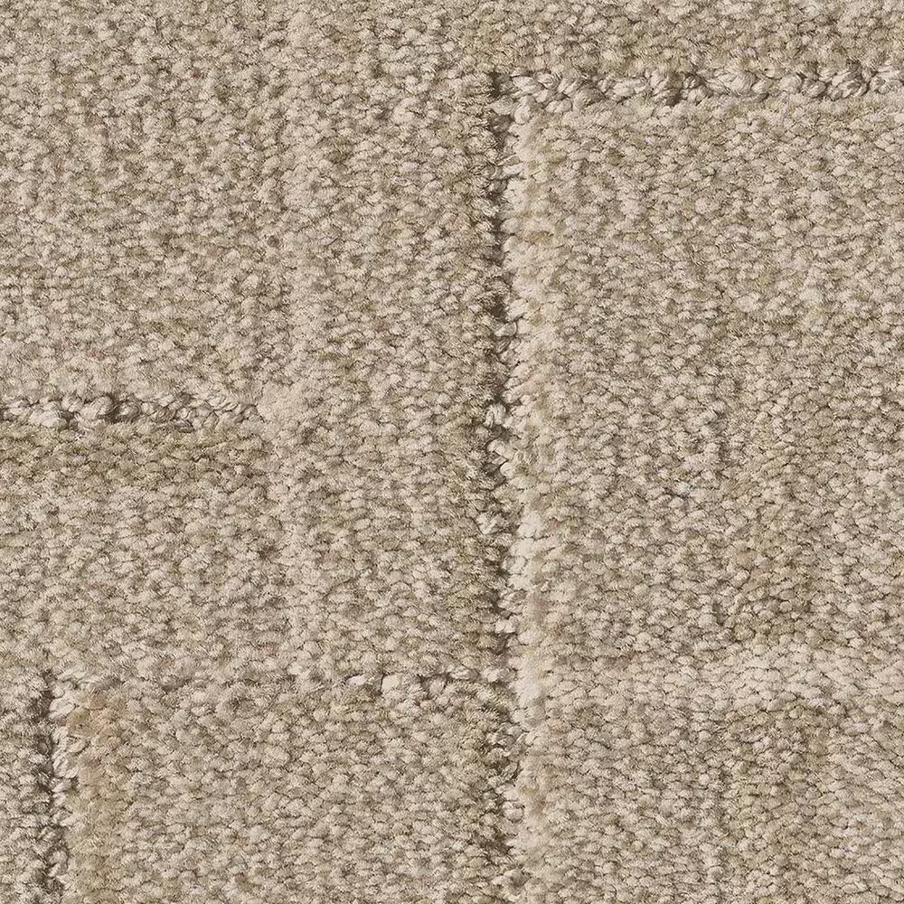 Anderson Tuftex Path Carpet in Dusty Dream