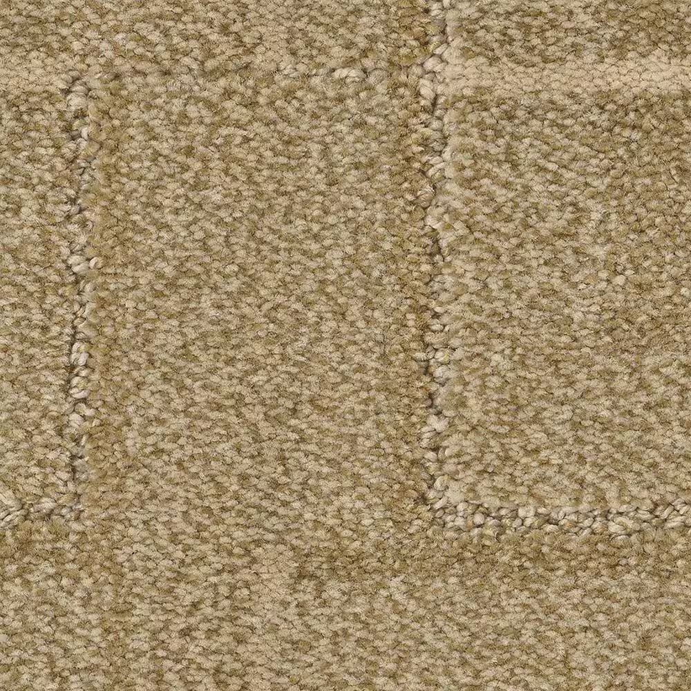Anderson Tuftex Path Carpet in Tatami