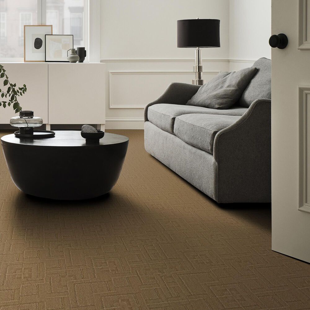 177253-anderson-tuftex-path-carpet-in-amber-waves-1.jpg