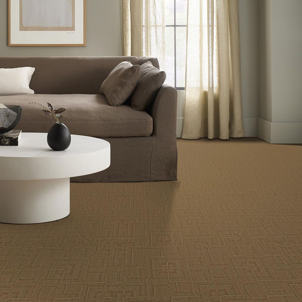 177253-anderson-tuftex-path-carpet-in-amber-waves-1.jpg