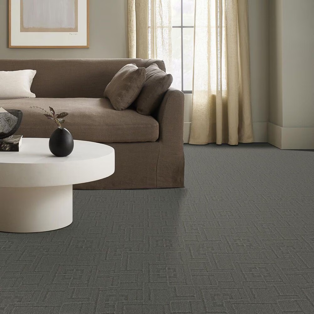 177258-anderson-tuftex-path-carpet-in-cold-morn-1.jpg