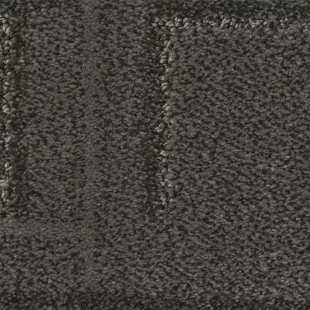 Anderson Tuftex Path Carpet in Painted Rock