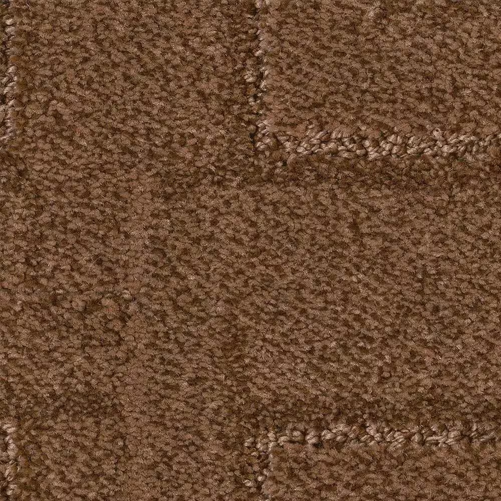 Anderson Tuftex Path Carpet in Sepia Tone