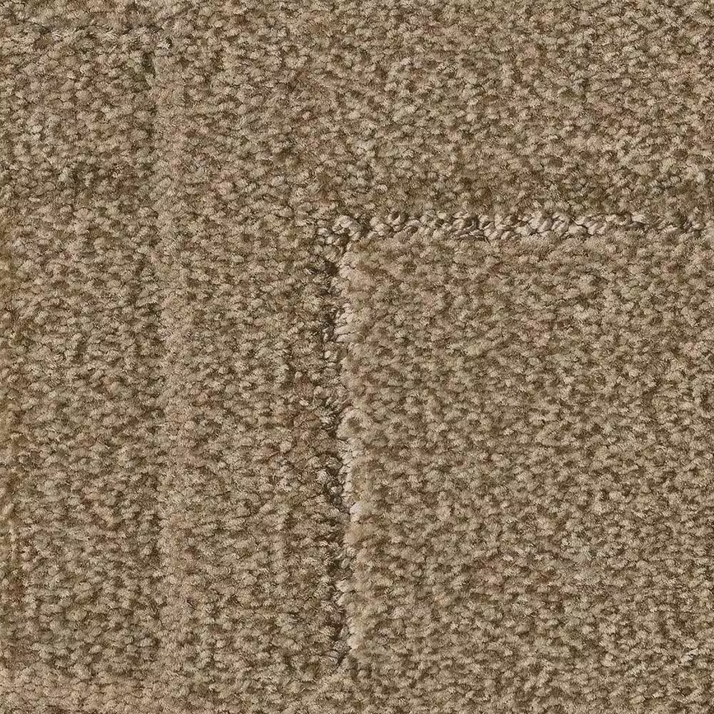 Anderson Tuftex Path Carpet in Plains