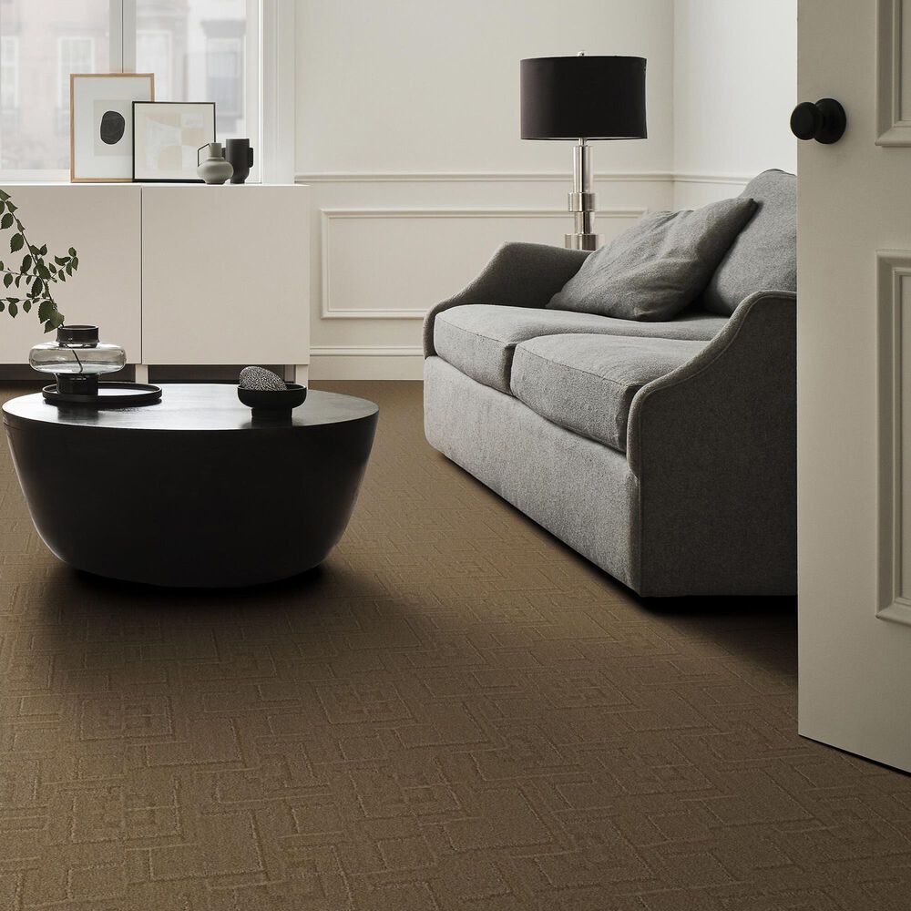 177266-anderson-tuftex-path-carpet-in-trail-1.jpg