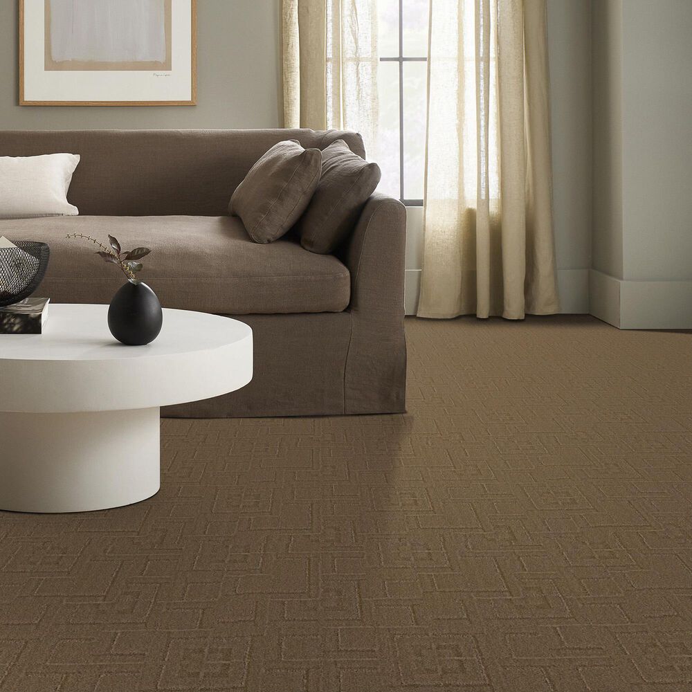 177266-anderson-tuftex-path-carpet-in-trail-1.jpg