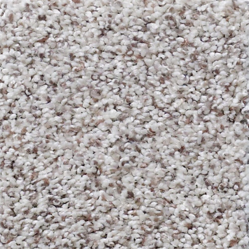 Shaw Detailed Artistry I Carpet in Snowcap