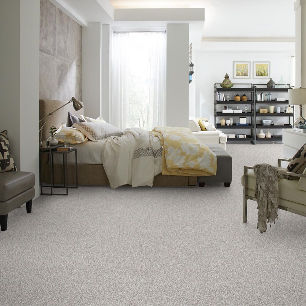1776-shaw-detailed-artistry-i-carpet-in-snowcap-1.jpg
