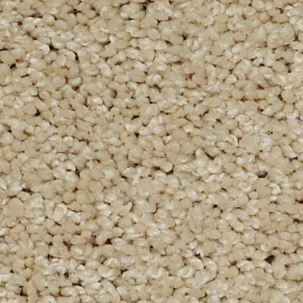 Shaw Keen Senses II Carpet in Golden Rule