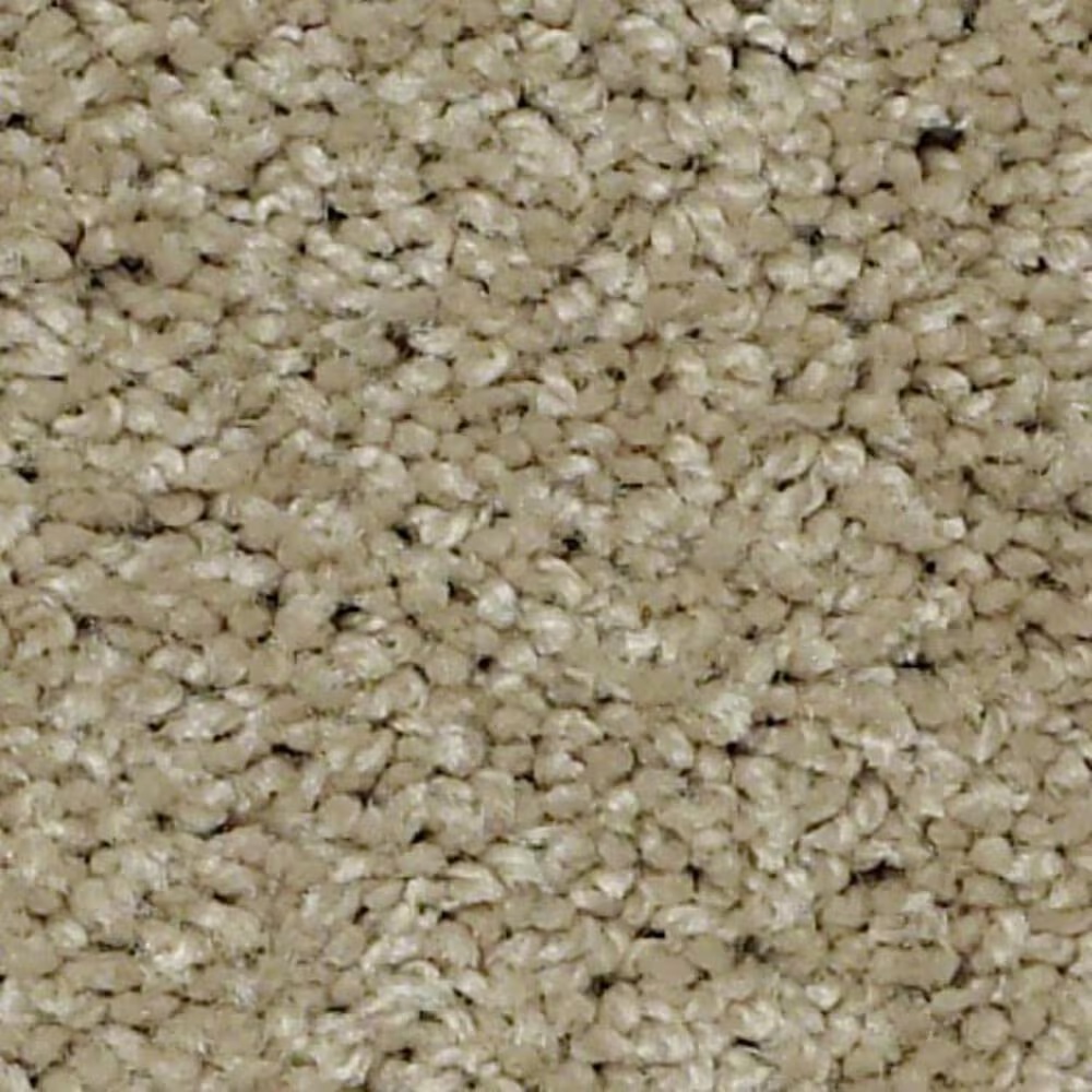 17794-shaw-keen-senses-ii-carpet-in-safari-1.jpg