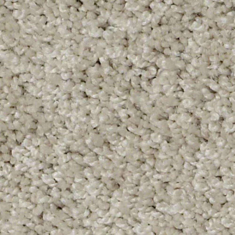 Shaw Keen Senses II Carpet in Barista