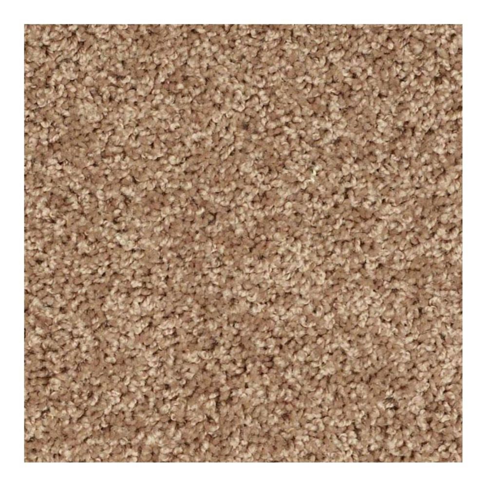 Shaw Go Big Carpet in Pebble