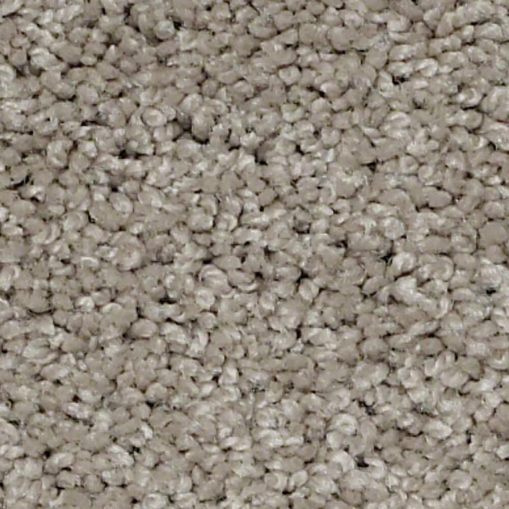 Shaw Keen Senses II Carpet in Espresso