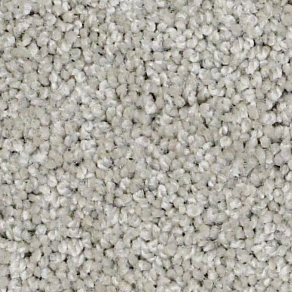 Shaw Keen Senses II Carpet in Lady in Gray