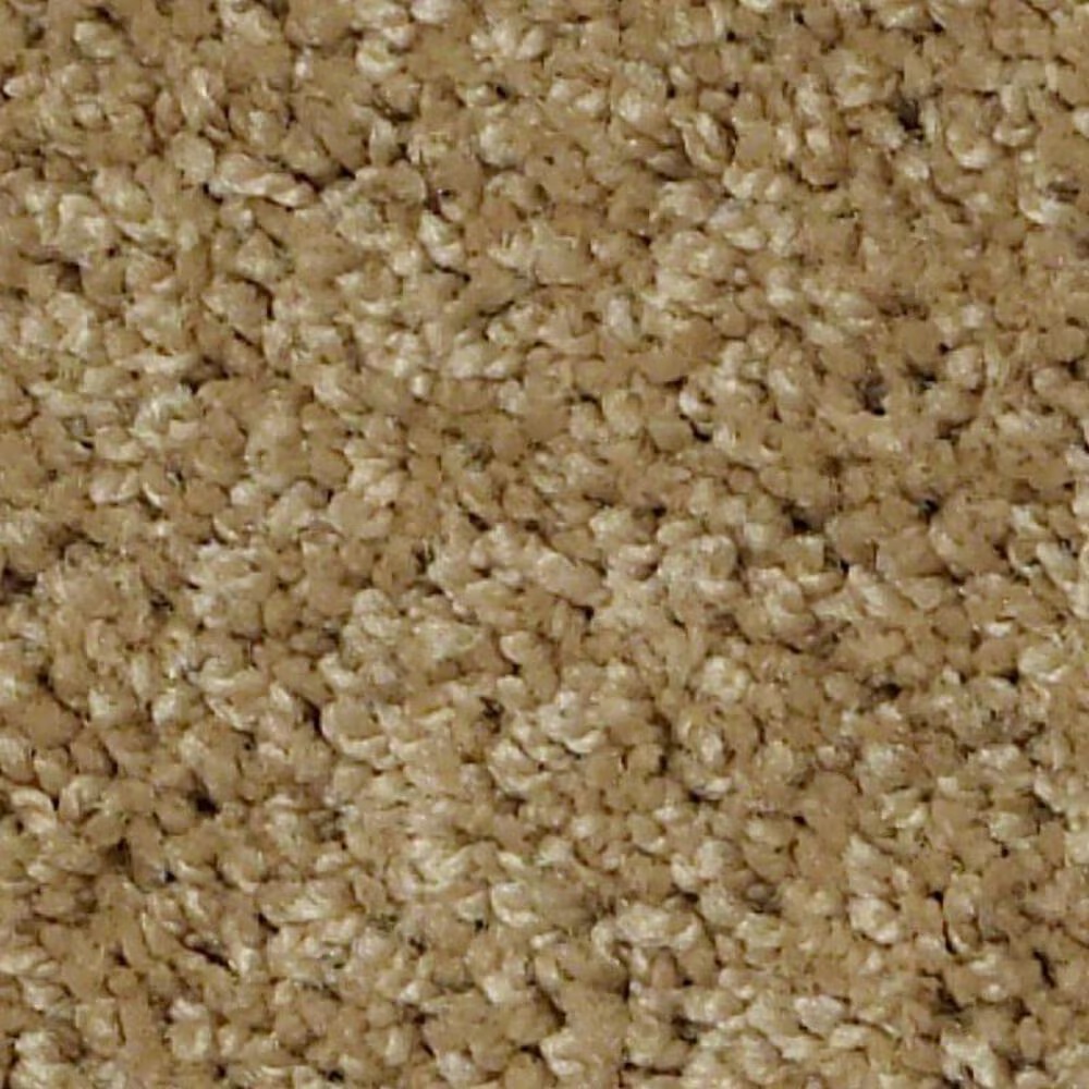 Shaw Keen Senses II Carpet in Warmth