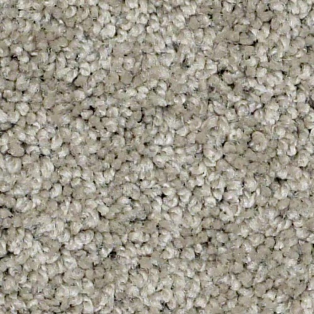 Shaw Keen Senses II Carpet in Mocha