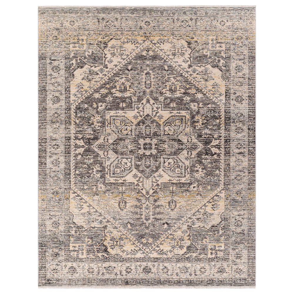 Surya Chicago CHG2316 5'3" x 7'9" Light Beige, Charcoal, Slate, Black, Blue,Taupe Area Rug