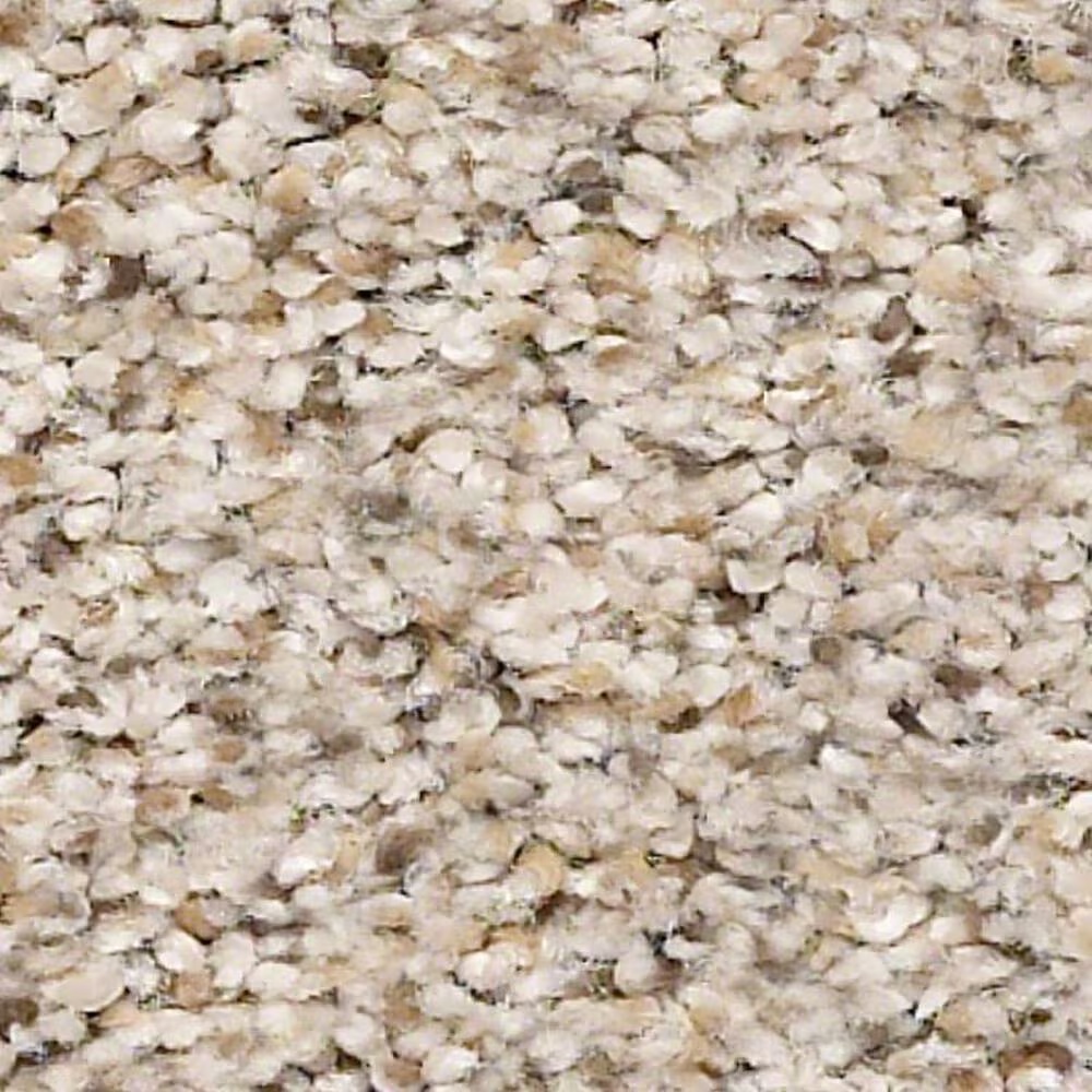 Shaw Elemental Mix II Carpet in Gentle Rain
