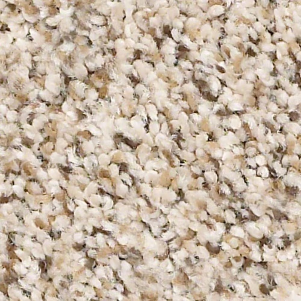Shaw Elemental Mix II Carpet in Horizon
