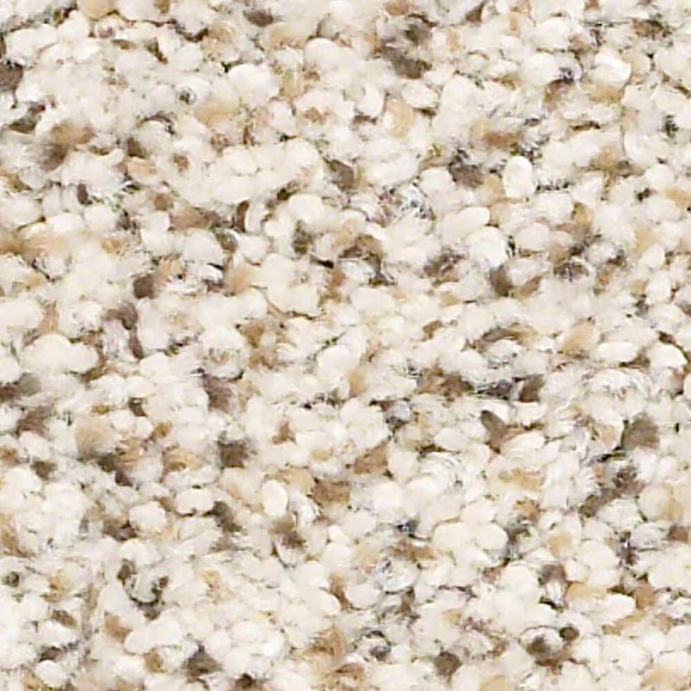 Shaw Elemental Mix II Carpet in Swiss Coffee
