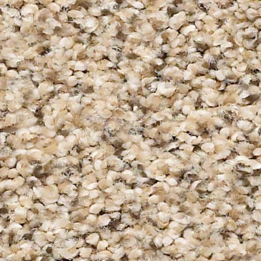 Shaw Elemental Mix II Carpet in Sand Castle